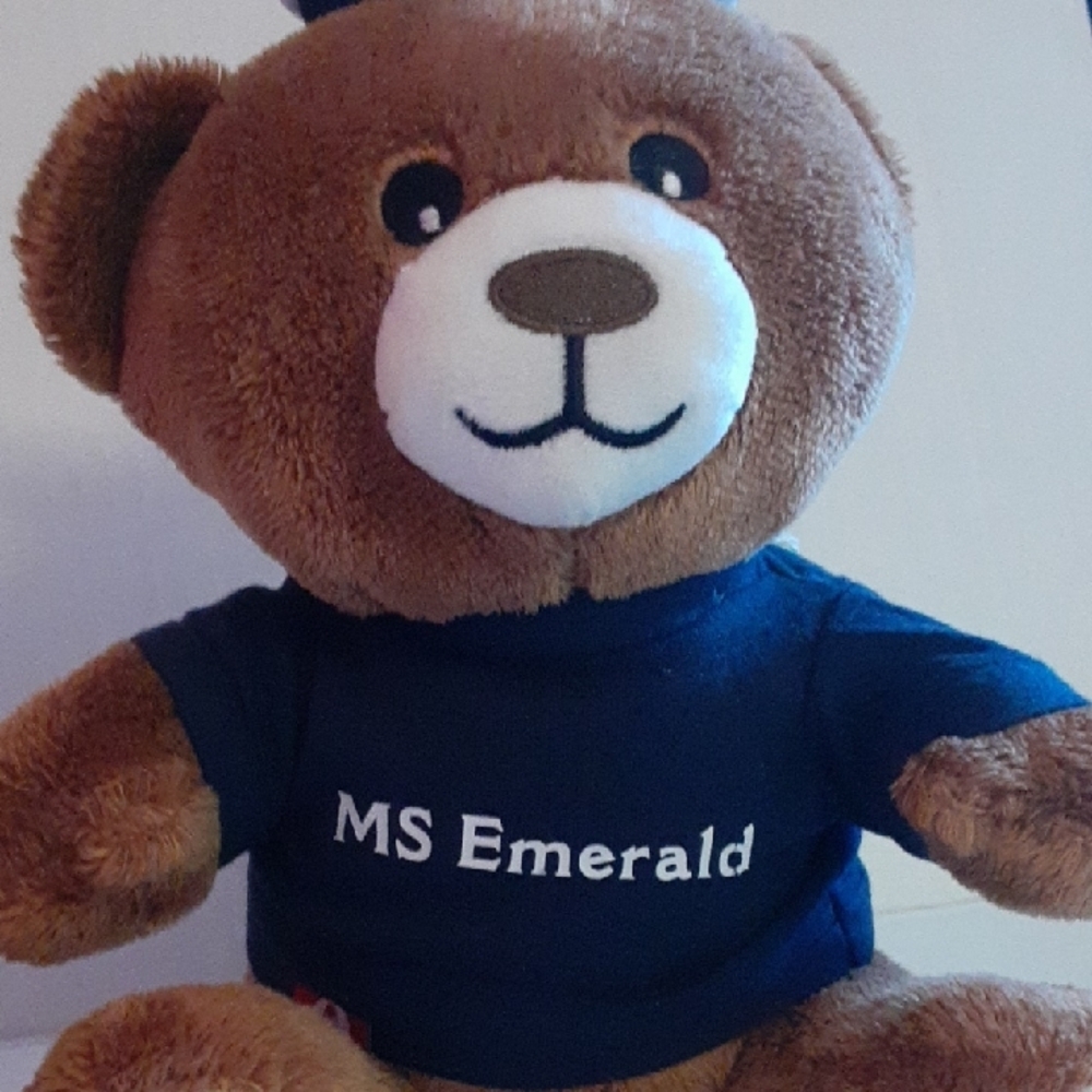 Bron MS Emerald Sailor Plush Teddy Bear - Brown and Blue - Picture 2 of 9